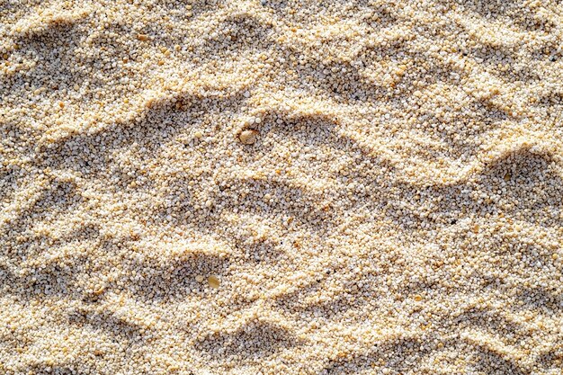 Photo a close up of a sand with a birds paw print in the sand