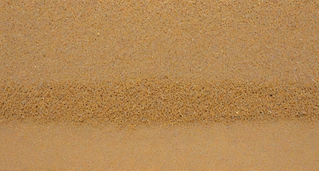 Photo a close up of a sand with a line of seagulls on it