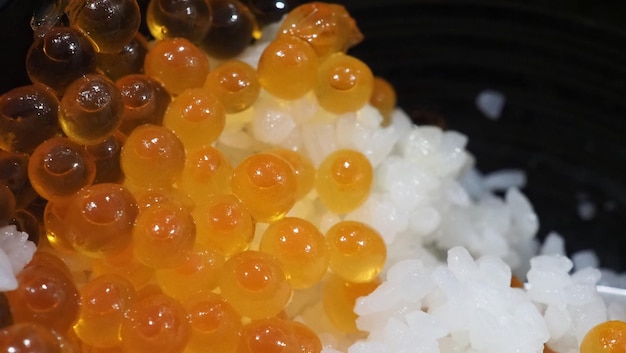 Close up of sashimi salmon roe with rice bowl or donburi in Japanese style food