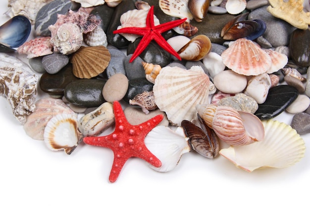 Close up of sea stones and shells