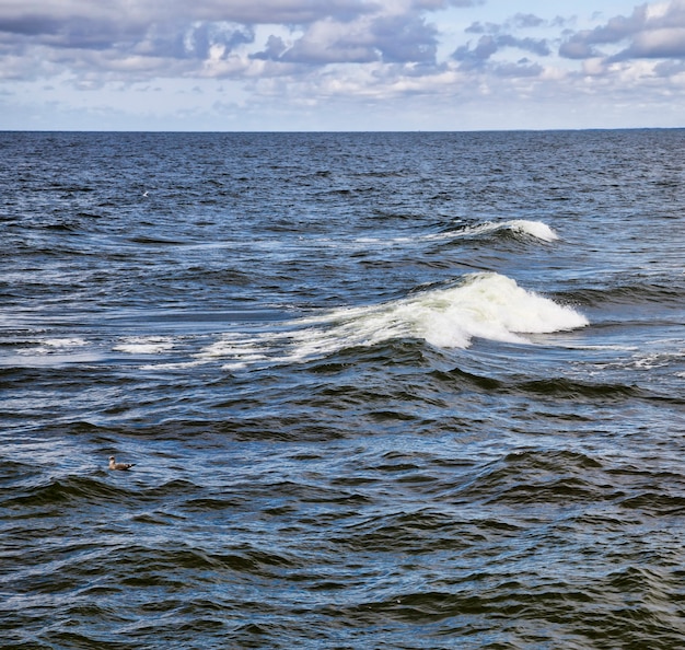 Close up on Sea waves