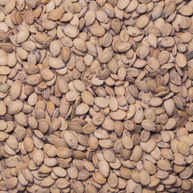 A close up of seeds from the seeds of pistachio