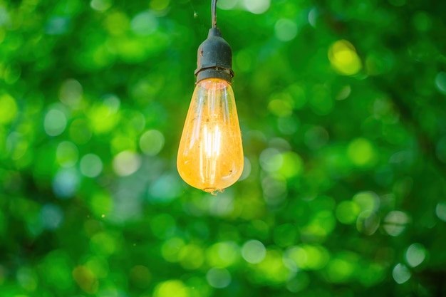 Close up Several LED bulbs on green bokeh background Saving energy eco concept Ftat lay copy space Light bulbs lie in a row