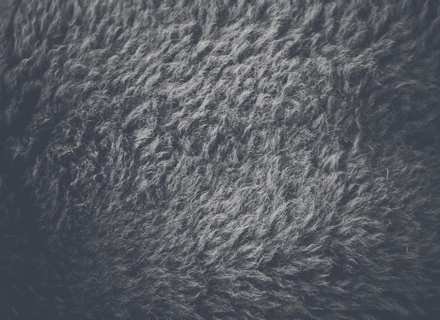 close up sheepskin texture backgroundsheepskin