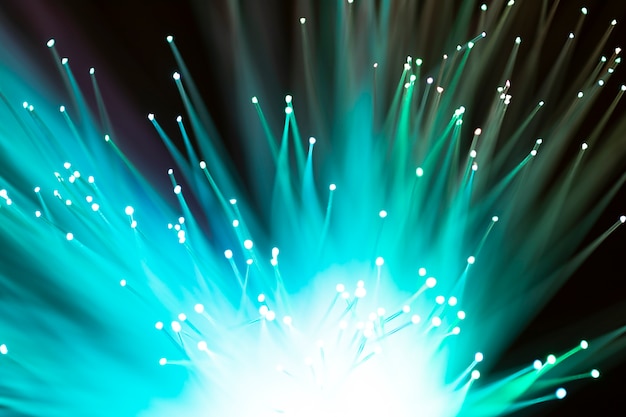 Close-up of shiny green fiber optics