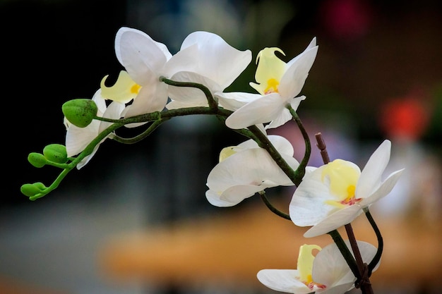 Close up Shot of an Artificial Flower