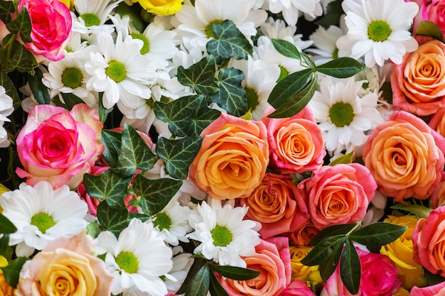 Close-up shot of the beautiful flowers. Suitable for floral background.