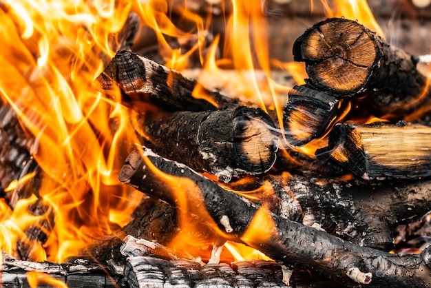 Close up shot of burning firewood