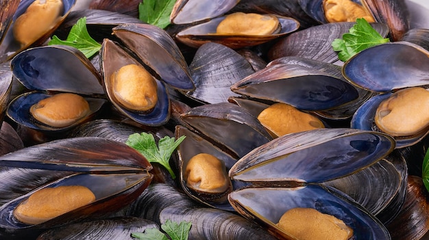 Close up shot of cooked mussels Close up boiled black mussels with herbs