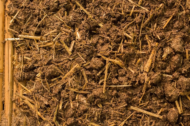 Close up shot of dry cow dung