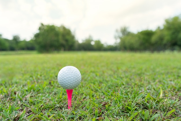 Close up shot of Golf ball on pink tee in golf course.