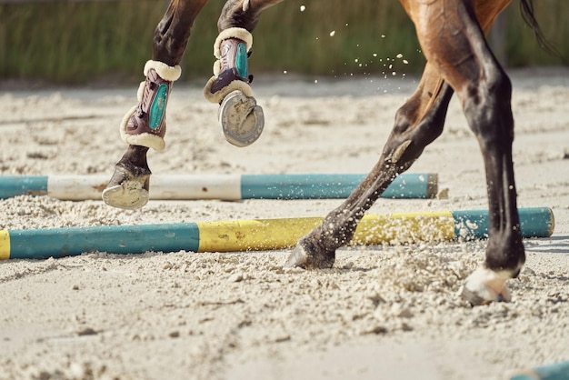 Close-up shot of horse hooves at a competition