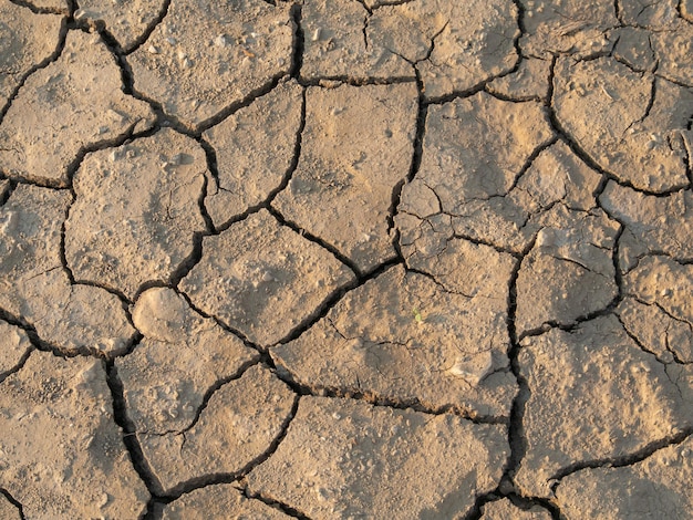 Close-up shot. Natural disaster pattern of cracked soil or mud. No water. Danger signs of weather