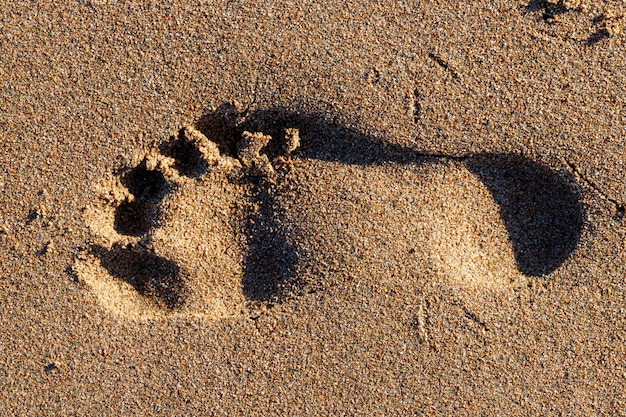 Close-up of single footprint on the sand beach