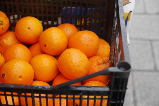 Close up of slice of orange fruits in a bowl