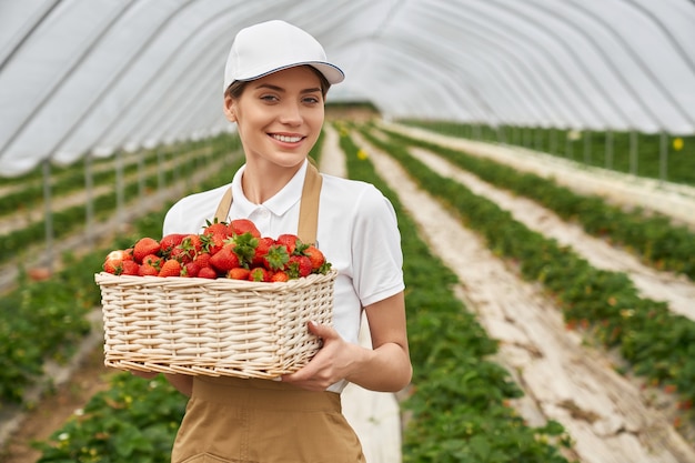 Close up of smiling beautiful woman in beige apron holding organic juicy large red strawberries in wicker basket. Concept of ripe tasty strawberry in greenhouse.