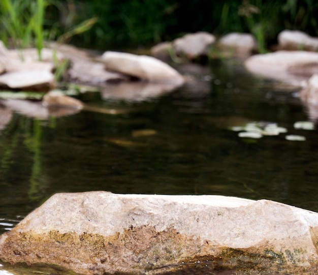 Photo close up of a smooth river rock