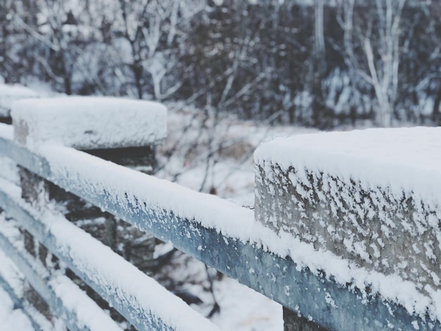 Close-up of snow covered railing