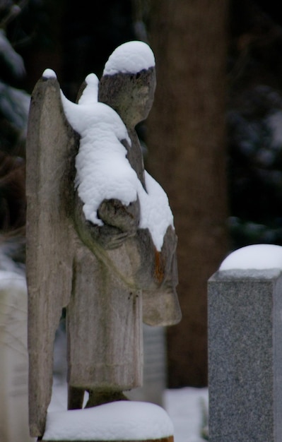 Photo close-up of snow on statue