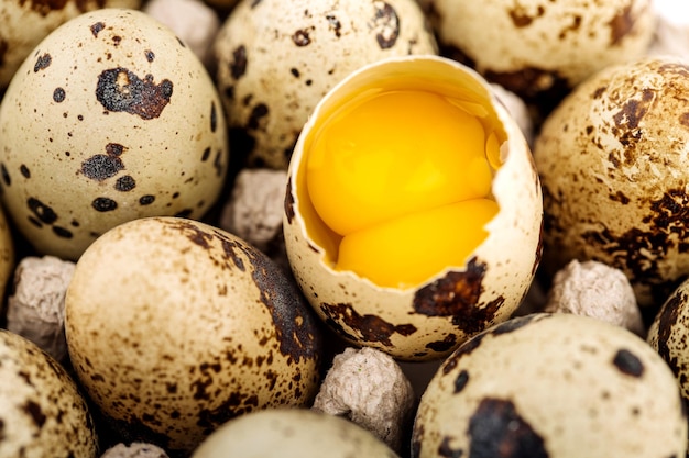 close up some fresh quail eggs in box carton. shop concept.