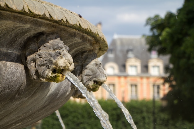 Close up stone fountain bowl and mouth of a golden lion fountain