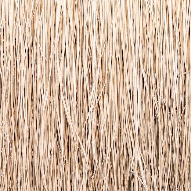 Close up of thatch roof or wall background Tropical roofing on beach