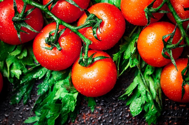 Photo close-up of tomatoes