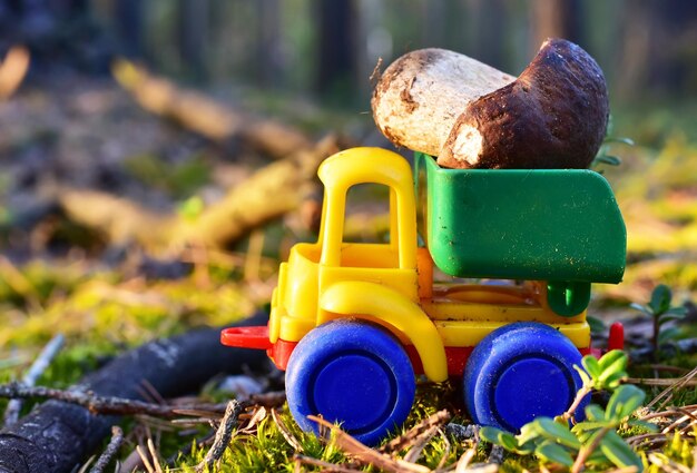 Close-up of toy car on field