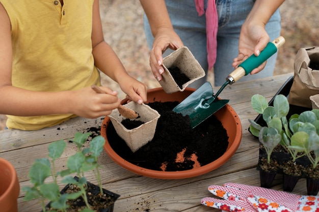 Close up on transplanting process of plants