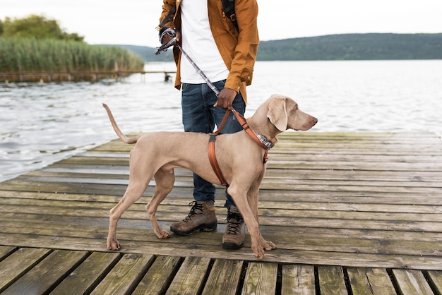 Close up traveler and cute dog  in leash