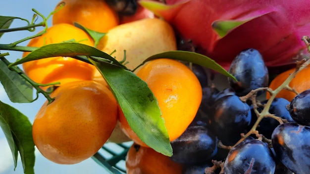 Close up, tropical fruit grapes, oranges, dragon fruit, pears and apples on a white background 04