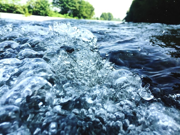 Photo close-up of turtle in water