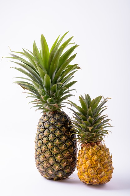 Close up of Two Ripe Pineapples Isolated