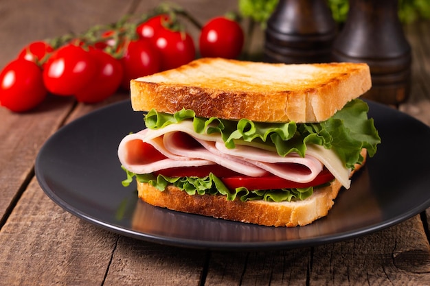 Close-up of two toasted sandwiches with fresh ham, cheese and vegetables on background.