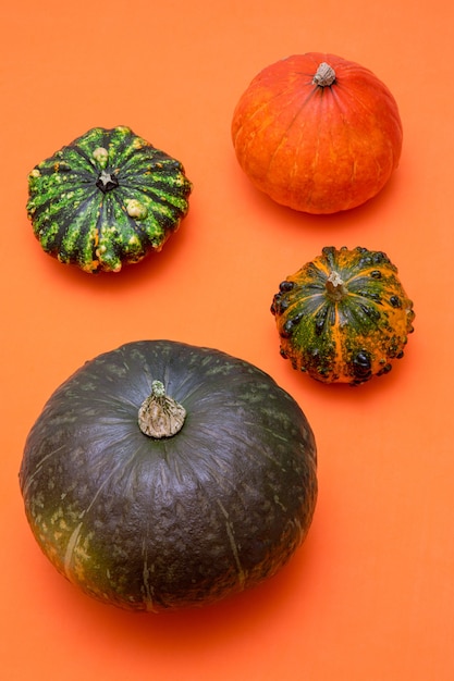 Close up various pumpkins on table