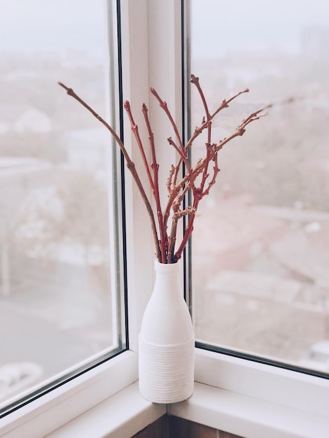 Photo close-up of vase on window sill at home