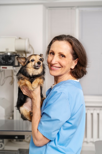 Close up on veterinary doctor taking care of pet