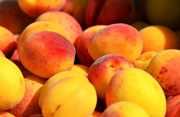 Close up view of apricots on the market