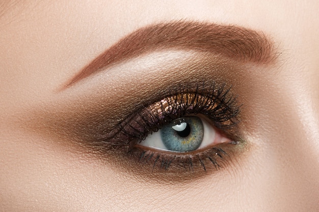 Close-up view of female blue eye with beautiful make-up. Perfect Make-up closeup.