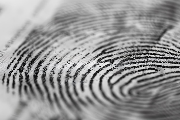 Photo close up view of fingerprints prominently displayed on a document or identification card