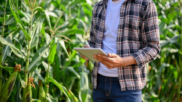 Close up view of male farm worker using digital tablet to keep up the process in corn planting