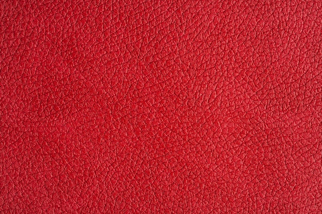 Close up view on red leather texture studio shot