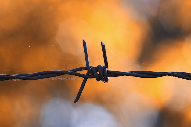 Close-up view the rusty barbed wire