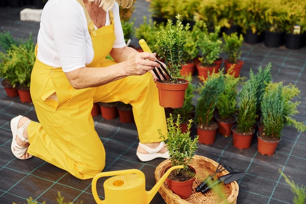 Close up view Senior woman is in the garden at daytime Conception of plants and seasons