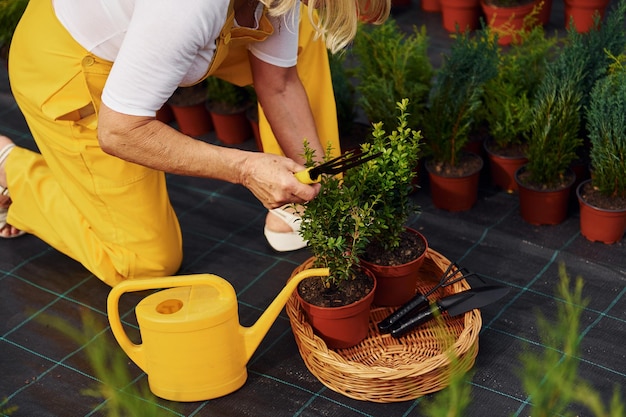 Close up view Senior woman is in the garden at daytime Conception of plants and seasons