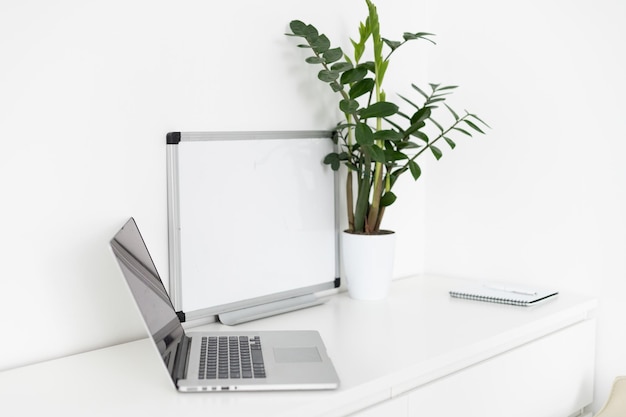 Close up view of simple workspace with laptop, notebooks and tree pot on white table with blurred office room background.