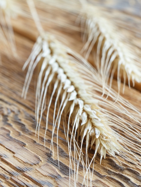 Close-up view of spikelets of wheat on old wooden boards. Shallow depth of field.