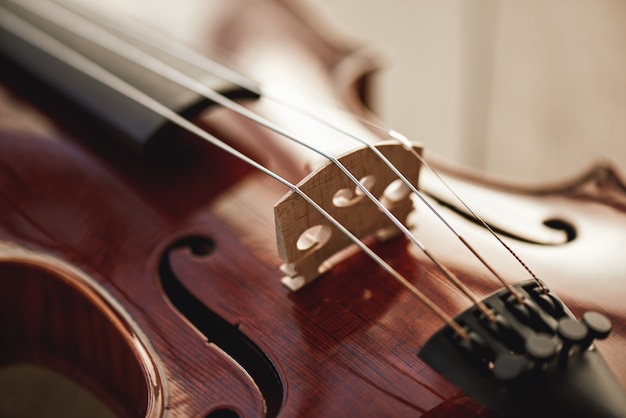 Close up view of strings of beautiful brown violin lying on wooden background. Musical instruments. Music equipment. Music background