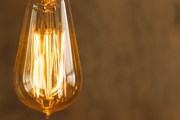 Close-up of vintage filament light bulb