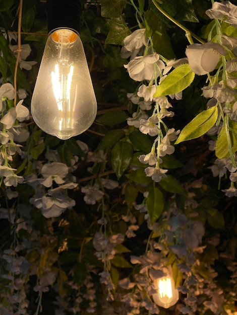 Close up of vintage lightbulbs on cafe ceiling decorated with evergreen plants